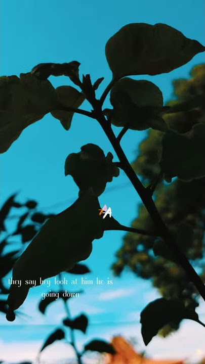 STORY WA AESTHETIC SLOWMO (PART16)