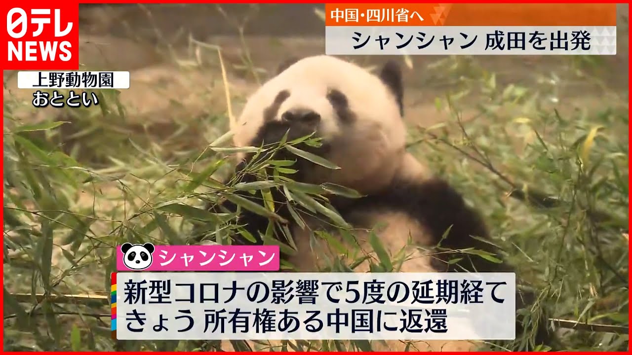 シャンシャン】中国へ旅立ち 大勢のファン見送り…幸せ願って「いって 