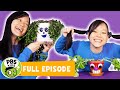 Plant Growth Experiment Analysis