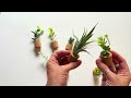 Succulent Plant Fridge Magnets - Honest Review
