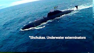 "Shchukas. Underwater exterminators