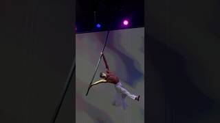 #flypole #circuslife #acrobatics #aerial #aerialpole