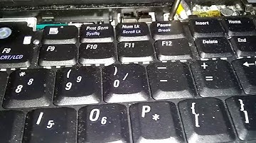 Dell Latitude d620 d630, Ram/Memory Location & Install, Nervous Nick