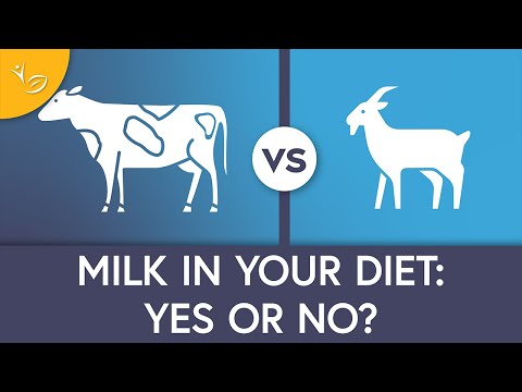 वीडियो: क्या दूध आपको मोटा बनाता है?