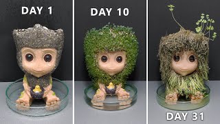 Growing Chia Seeds with Groot - 31 Days Time Lapse - Chia Pet #4