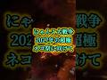 2027年の超極ネコ祭に向けて #にゃんこ大戦争 #shorts #バズれ