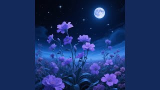 Midnight Bloom
