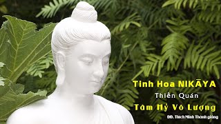 Tinh Hoa NIKAYA – Thiền Quán – Tâm Hỷ Vô Lượng