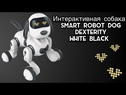 Обзор интерактивной собаки SMART ROBOT DOG