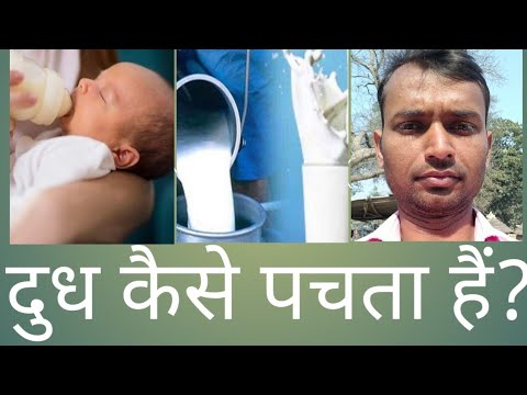 वीडियो: रेनिन दूध का जमाव कैसे करता है?