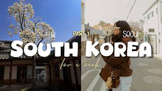 Seoul - first 2 days in South Korea | Early blossoms, cute cafes, delicious food | vlog | part 1🍜🌸