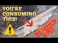 Clogged Kitchen Sink Drain Full of FAT | Blocked Drain 92