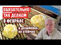 Подкормка пчел зимой ФЕВРАЛЬ  Зимовка пчел на улице