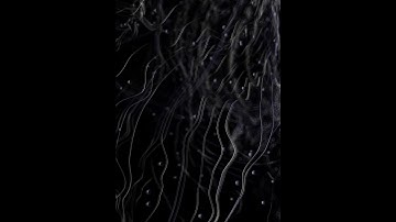 liner trial #houdini #redshift #3dart #render #art #ae #digitalart #3DCG