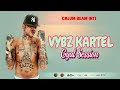 Vybz kartel Mix 2023 Raw: Vybz kartel Gyal Session 2023 / Vybz kartel Dancehall Mix 2023