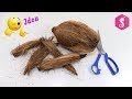 DIY Coconut Fiber Craft Idea | Best out of Waste Coconut Fibers | Reuse waste material craft