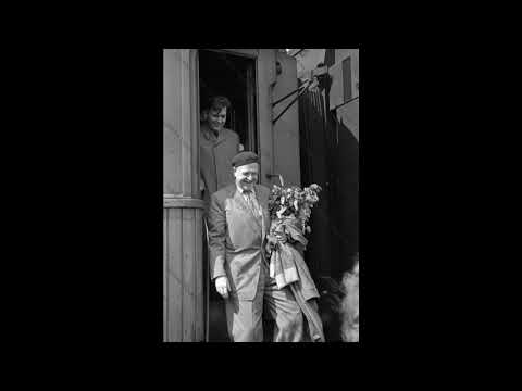 Nazım Hikmet - Ellerinize Ve Yalana Dair