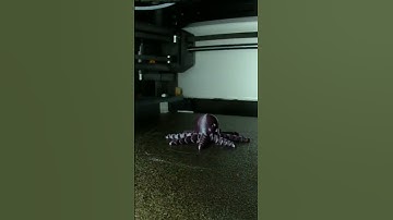 3D Printing Octopus Timelapse #3dprinting #satisfying #asmr #creality #bambulab #x1carbon #trending