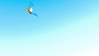 iFly Flying WASP