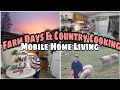 Farm days  country cooking  country fried steak with sawmill gravy  mobile home living