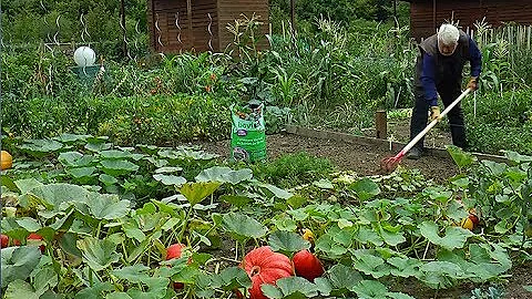 Quand mettre du Bochevo ?