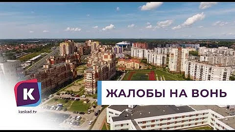 Калининградцы жалуются на страшную вонь в городе