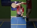 How to Make Adam Bobrow Snake Stroke - Table Tennis #shorts #meyzileyoutubeshorts