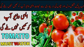 Tomato Benefits | Urdu/Hindi | Dar ul Hikmat Urdu | DUH