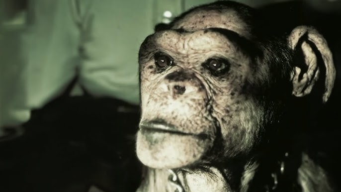 Porno xxx2 Porno surat Anna Zhilenkova