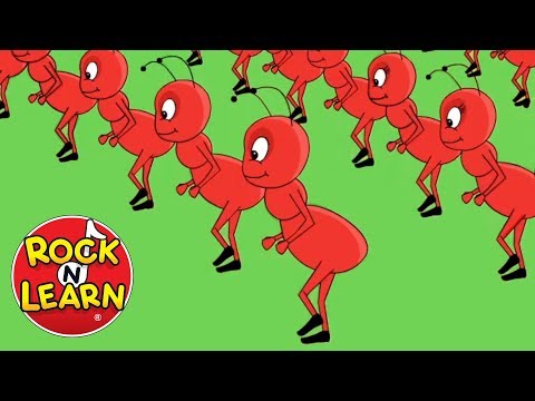⁣The Ants Go Marching | Song for Kids