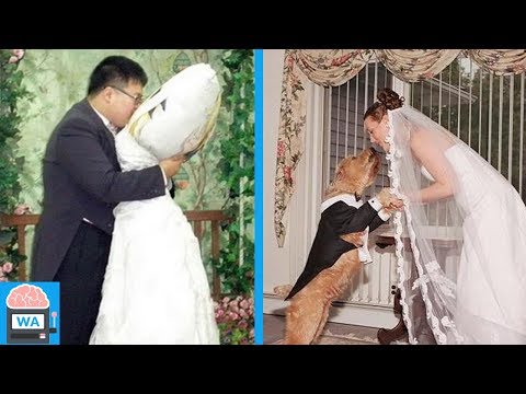 Video: Wie Man Hunde Sicher In Hochzeiten Einbezieht