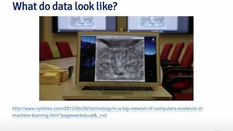 Data Scientist