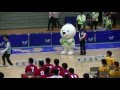 紀の国わかやま国体：ハンドボール成年男子表彰