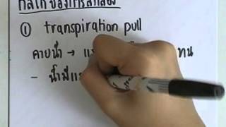 ormBio 104 : พืช version2 ,ตอน04