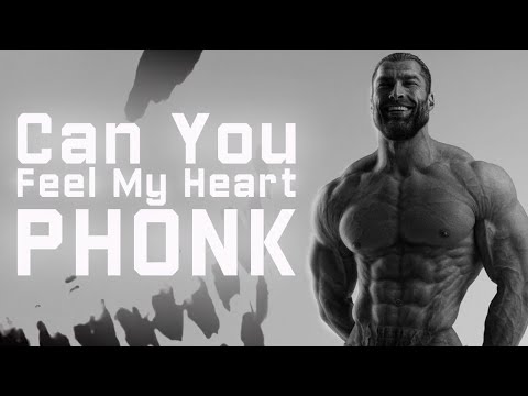 Gigachad - Can You Feel My Heart PHONK REMIX by MC DJ ILUHA - YouTube Music