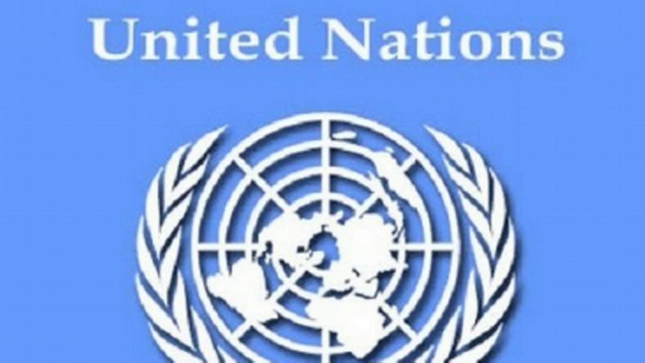 Alert! Petition Requests 'UN Emergency Assistance' Over Electoral Fraud ...