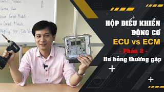 Hộp điều khiển động cơ  - ECU vs ECM - Phần 2 - Hư hỏng thường gặp | TMT FIX