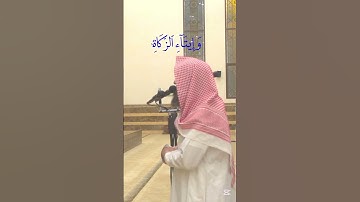 قران كريم بصوت جميل جدا جدا تلاوه هادئه خاشعه راحة نفسية أرح قلبك وسمعك#محمداللحيدان  #quranhearts