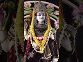 জয় জয় মা বাগ্দেবী চন্দন চর্চিতা, পুষ্প শোভিতা#shorts#ytshorts#trending#viralvideo