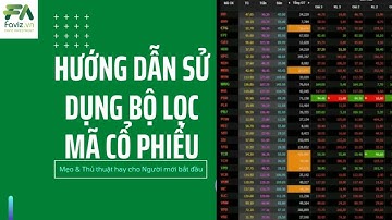 HƯỚNG DẪN SỬ DỤNG BỘ LỌC CỔ PHIẾU CỦA FAVIZ TOOL | FAVIZ.VN