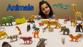 اسماء الحيوانات للاطفال بالانجليزية والعربية | learn animals تعليم الاطفال الحيوانات رااائعة وجديده