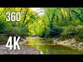 Nature in 4K 360 degrees. The gentle sounds of a mountain river and the singing of birds.