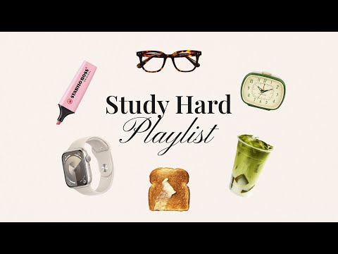 Ace Your Exams ✨ Lofi Beats for Deep Focus & Unstoppable Study Sessions