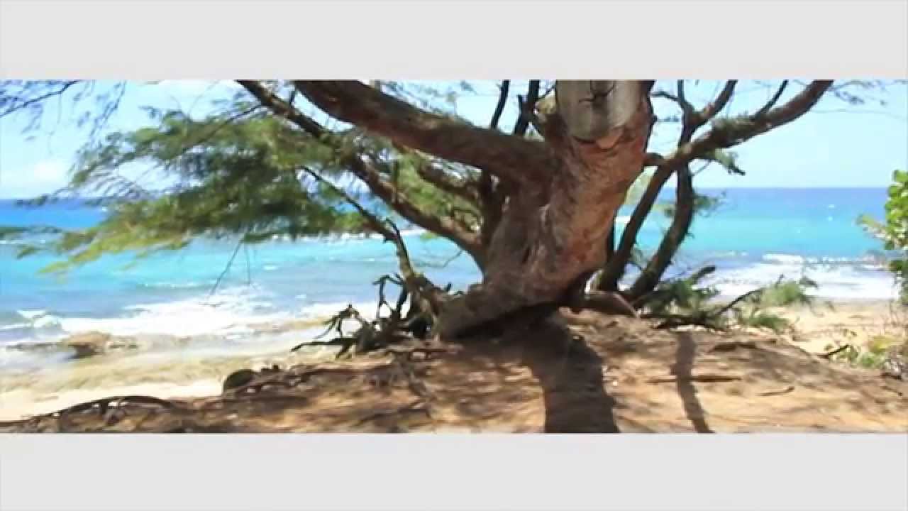 Road Trip por la Playa de Isla Verde