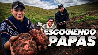 ESCOGIENDO PAPAS CON PEONES PREMIUM | John Valverde