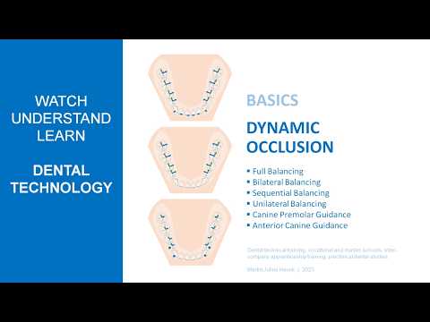 Dynamic Occlusion Concepts [2023]   |  Basics
