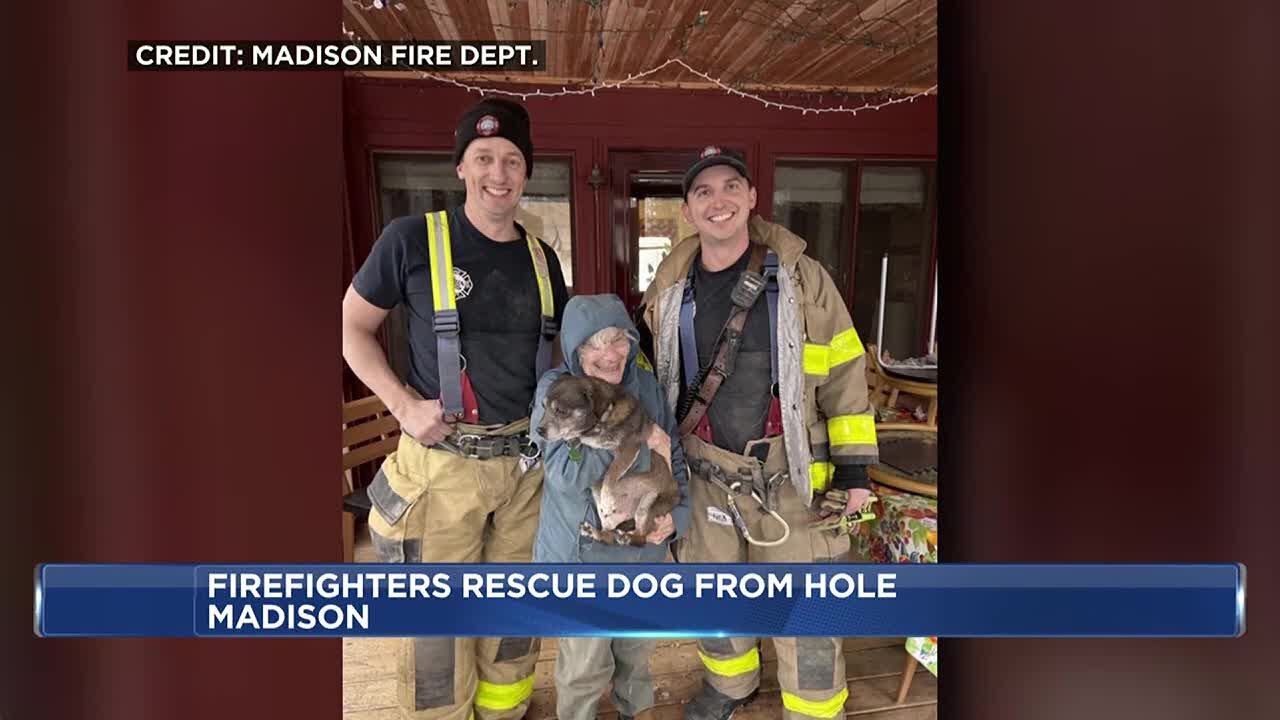 Madison firefighters rescue dog Darcy from hole, reunite her with owner ...