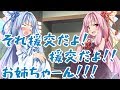 【琴葉姉妹】葵「お姉ちゃんがゆかりさんを買ってた…」茜「」