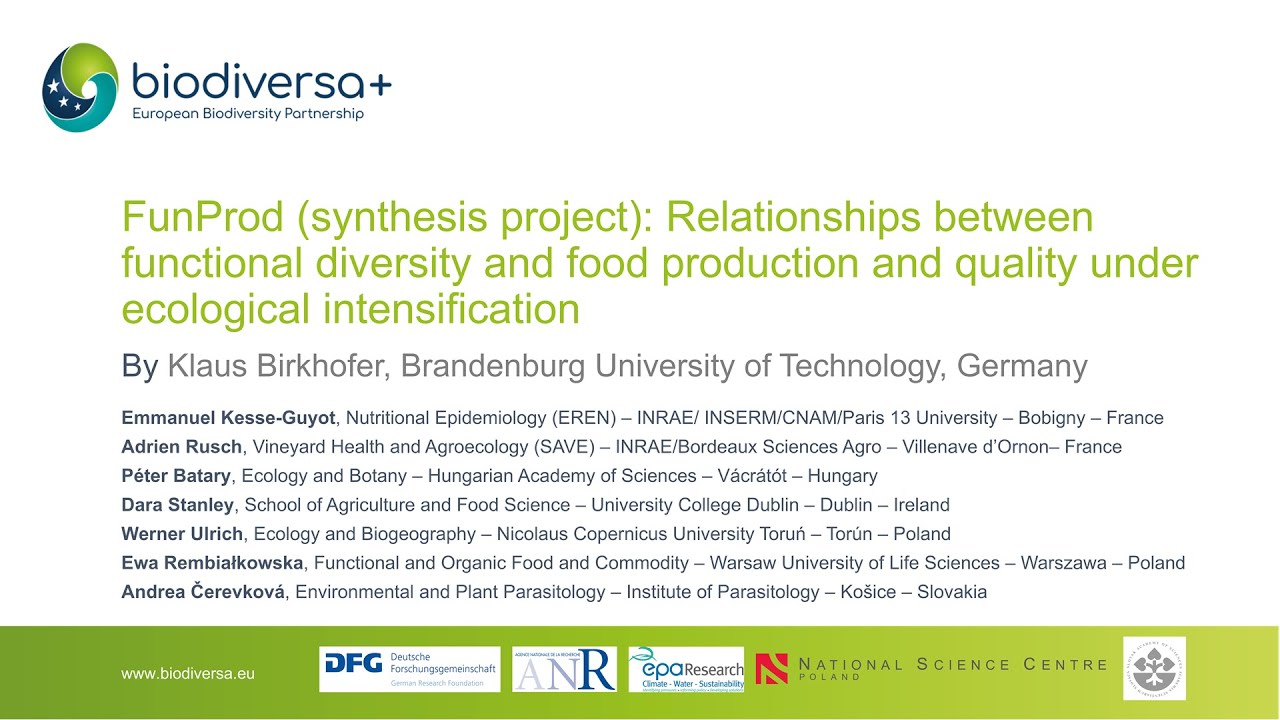 FunProd Project Presentation