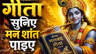 Geeta suniye man  sant paiye #bhagavadgita #geetasaar  screenshot 4